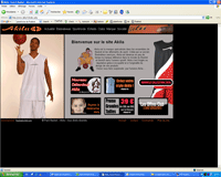 Cliquez pour voir le site www.akila.fr