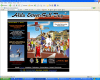 Cliquez pour voir le site www.akilastreetballday.fr